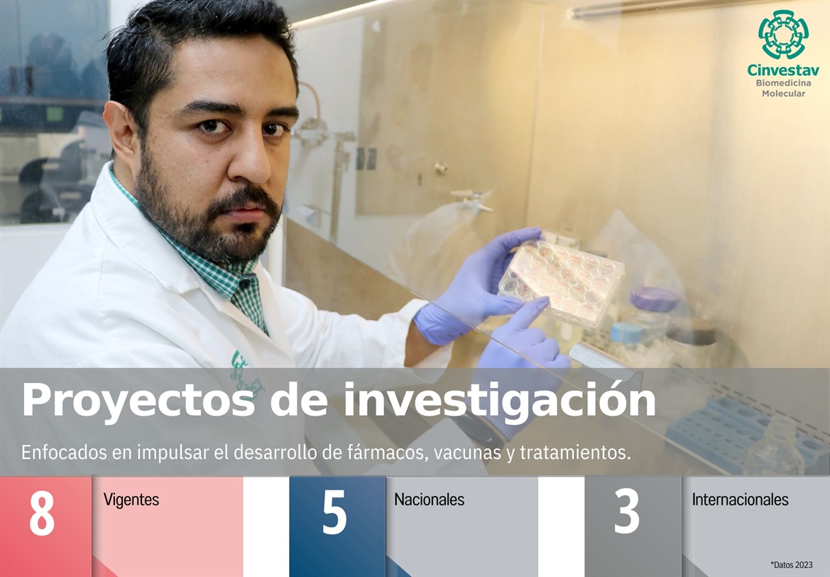 Indicadores-Proyectos de Investigación