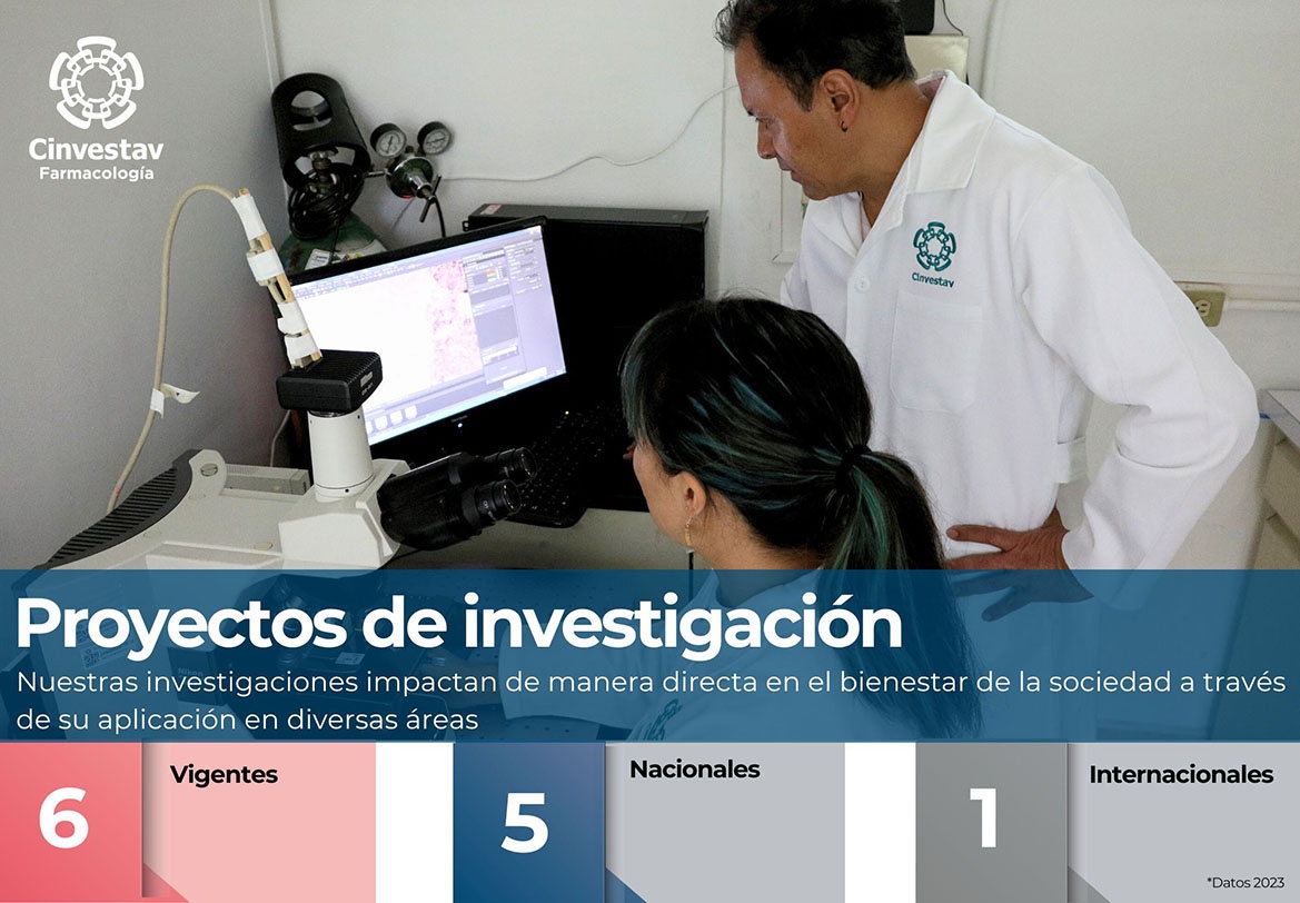 Indicadores- Proyectos de investigación