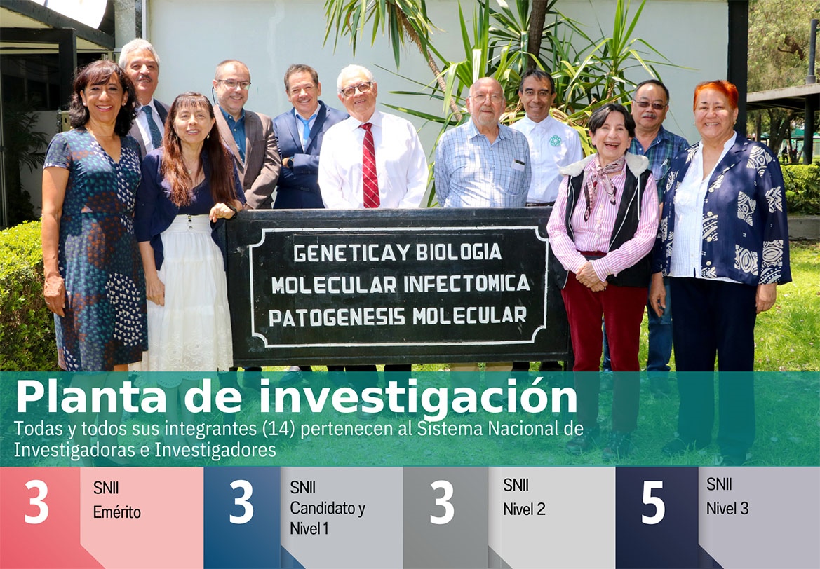 Indicadores - Planta de investigacion