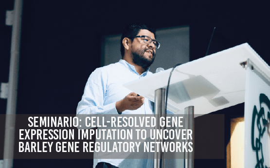 Seminario: Cell-resolved gene expression imputation to uncover barley gene regulatory networks