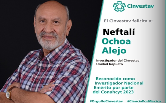 Reconocimiento a Neftalí Ochoa Alejo