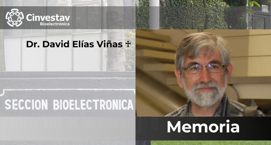 David Elías Viñas †