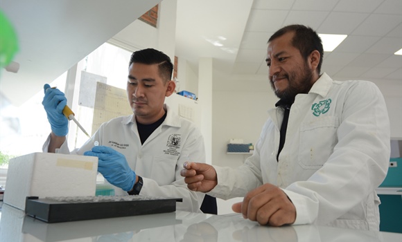 Convocatoria a beca posdoctoral para el laboratorio de Ingeniería Biológica
