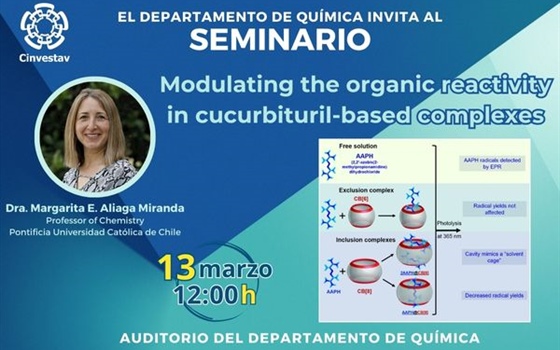 Seminario Dra. Aliaga