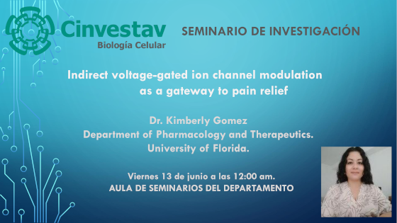 Indirect voltage-gated ion channel modulation as a gateway to pain relief
