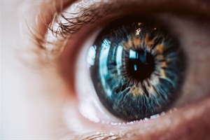 Los ojos son la ventana al cerebro: predicción de enfermedades cerebrovasculares con imágenes de la...
