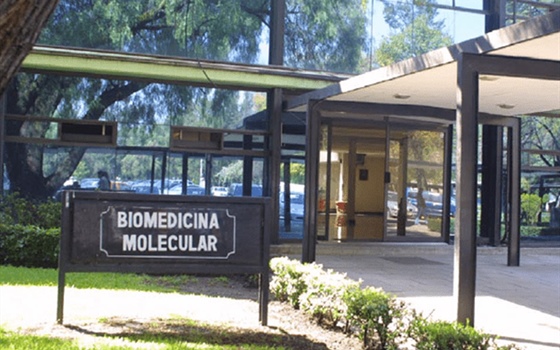 Celebrando 25 años de Biomedicina Molecular