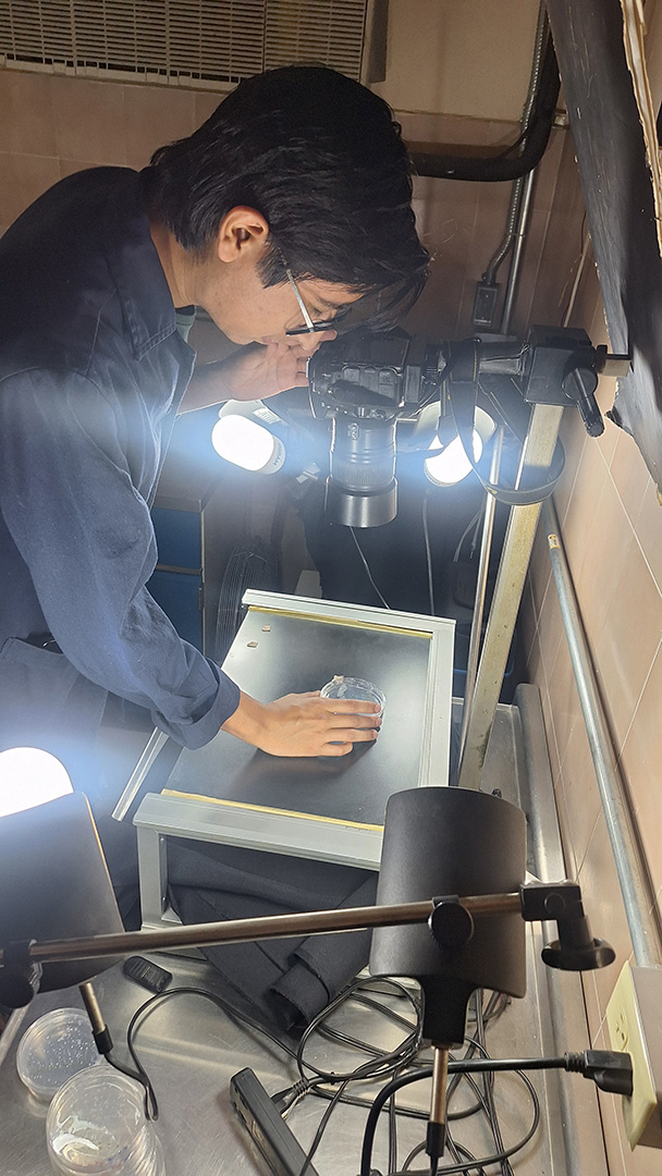 Alumno de posgrado tomando fotografías de plantas en caja Petri